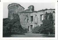 Fotografie des Schlossgartens Andernach