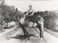 Junge Frau auf Pferd